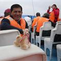 Llamas marinas