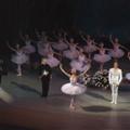 Final Curtain, Swan Lake