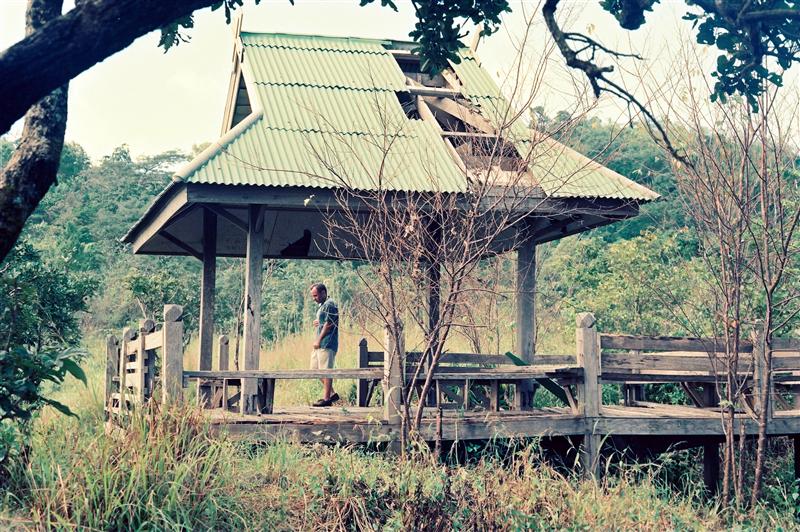 Doi Tung