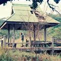 Doi Tung
