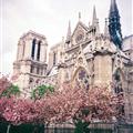 Notre Dame
