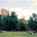 Central Park