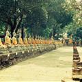 Ayuthaya temples