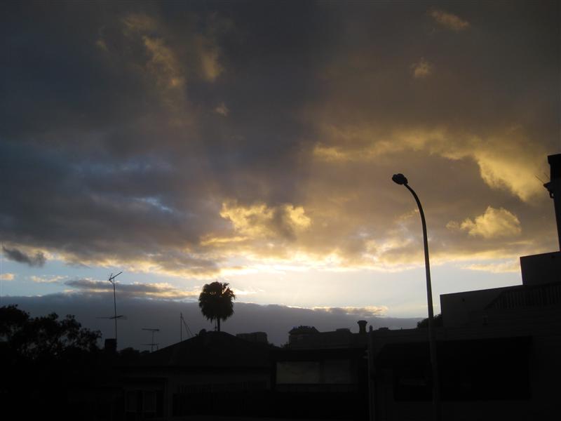 Photo from Auckland, New Zealand