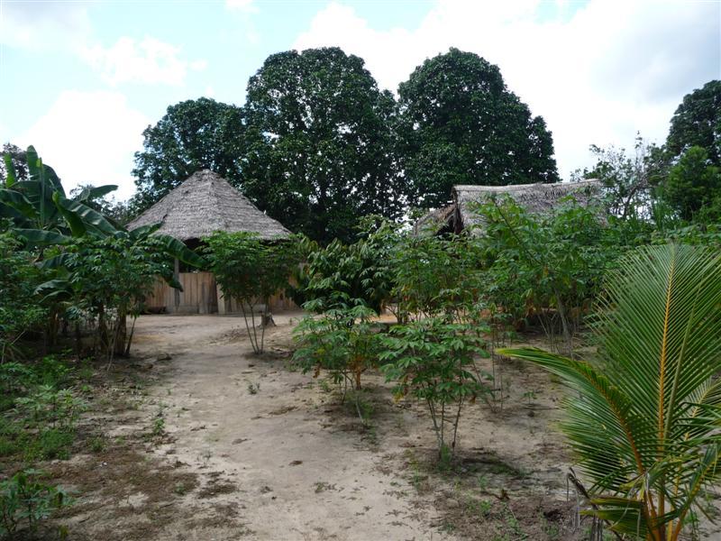 Path up to shaman's house