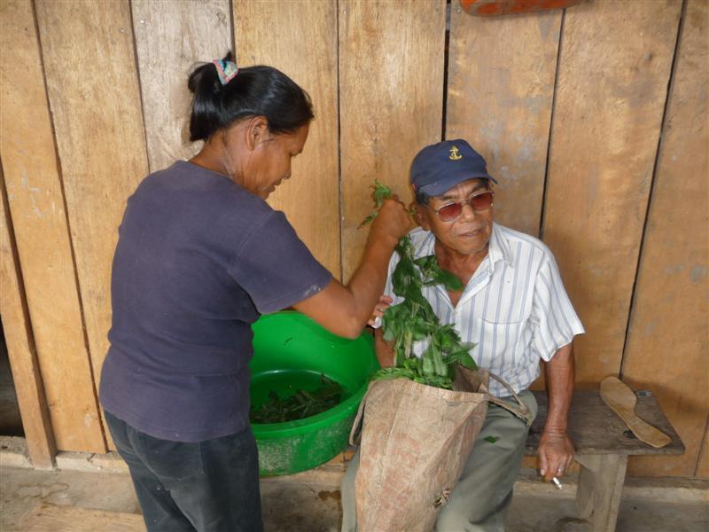 Shaman and wife preparing herb bath