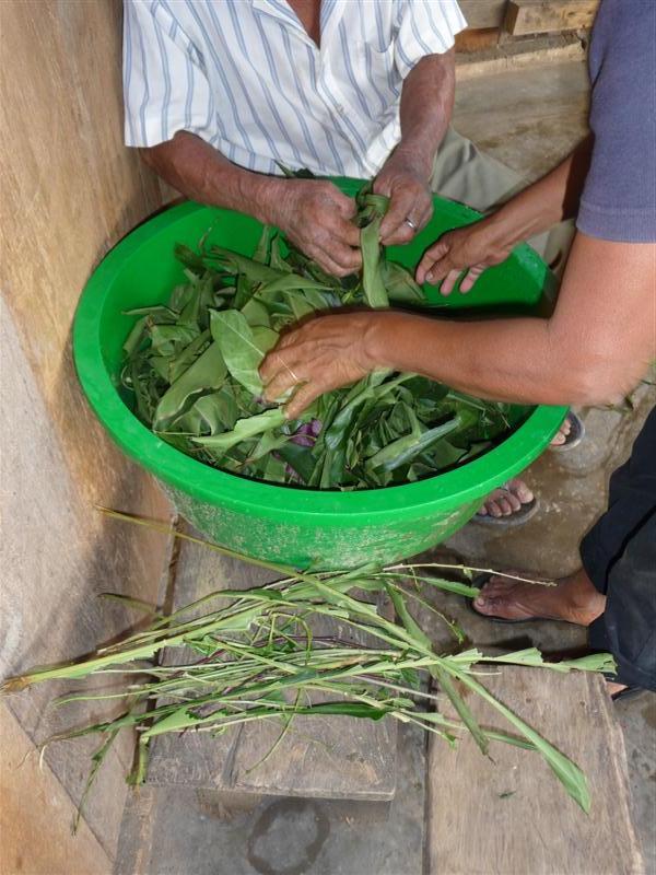 Herb bath being prepared