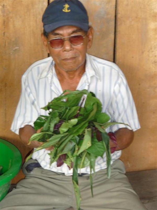 Shaman and herbs