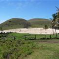 The beach