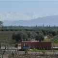 The Andes in the distance