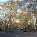 The area around the wineries was quite pretty
