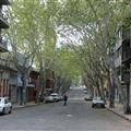 They have sycamore-lined avenues here too