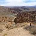 Cacti and jaggy rocks