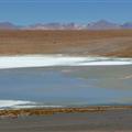 All those little dots are flamingos