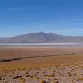 First view of Laguna Colorada