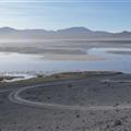 More flamingos in a thermal lake