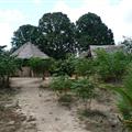 Path up to shaman's house