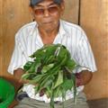 Shaman and herbs