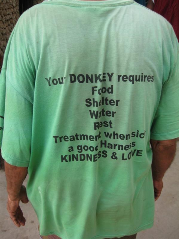 Even donkeys need love