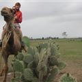 One hump or two...sadly for me, one with lots of pain