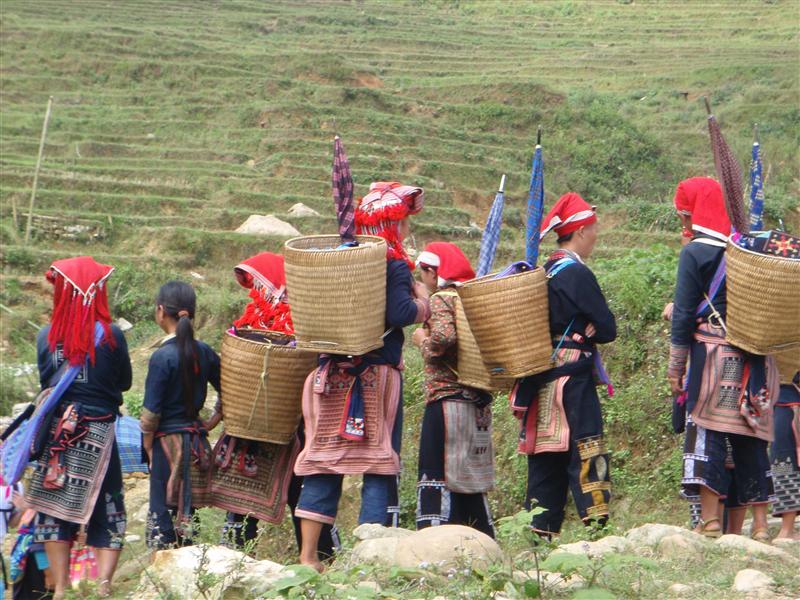 Local women from around Sapa, northern vietnam