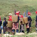 Local women from around Sapa, northern vietnam
