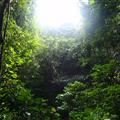 Our jungle walk through Cuc Phuong national park