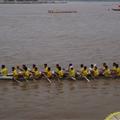 boat races at the water festival