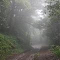 Monte Verde Cloud Forest