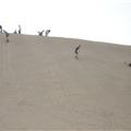 Sandboard 