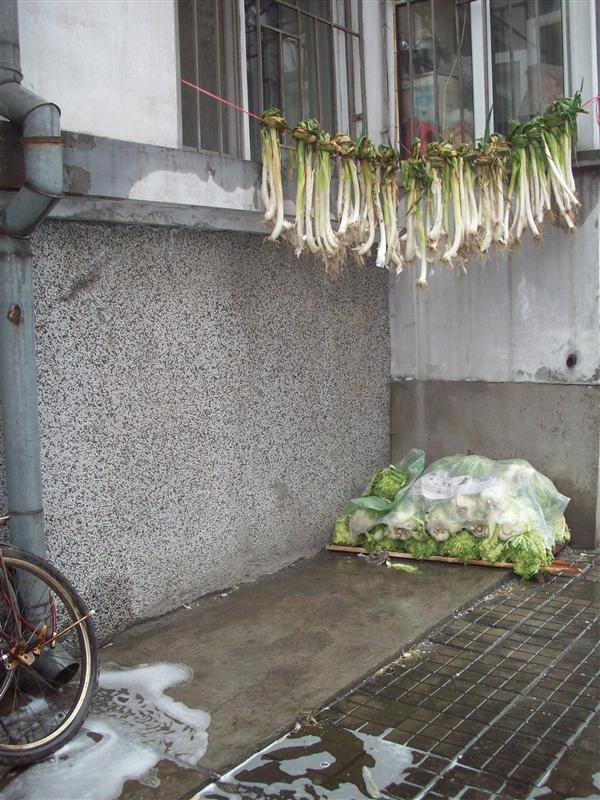 Whatever fell from the sky, landed on those veggies. Can you wash dried veggies?