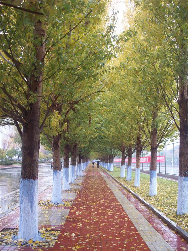 Campus path