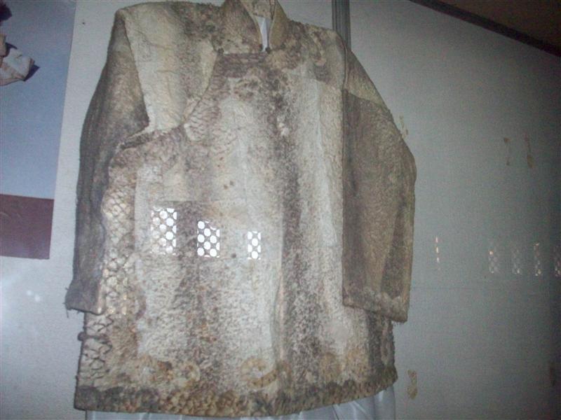 The fish coat