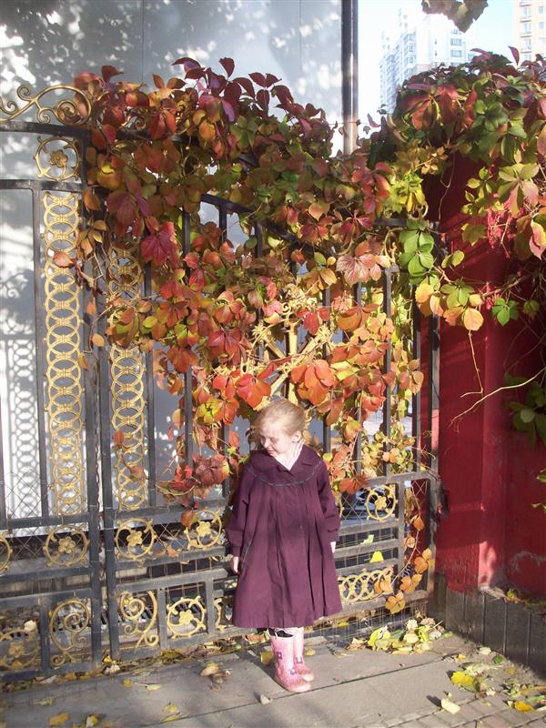 Fall