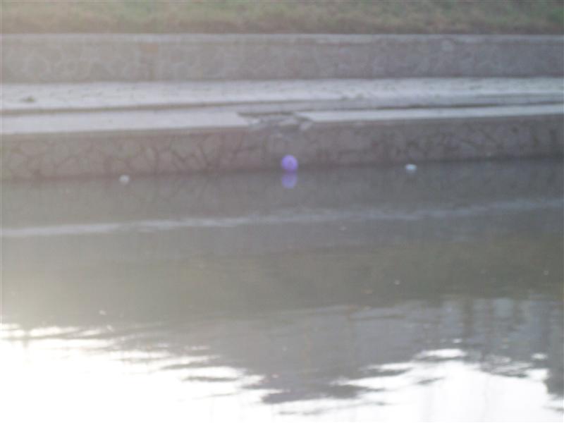 Ducks don't swim in the toxic stuff, the floating balloons are nice.