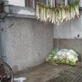 Whatever fell from the sky, landed on those veggies. Can you wash dried veggies?