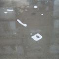 bubble puddle