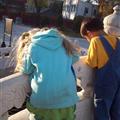 Looking at the fish