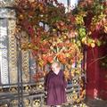 Fall