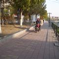 Walking is like playing chicken with the motorcycles