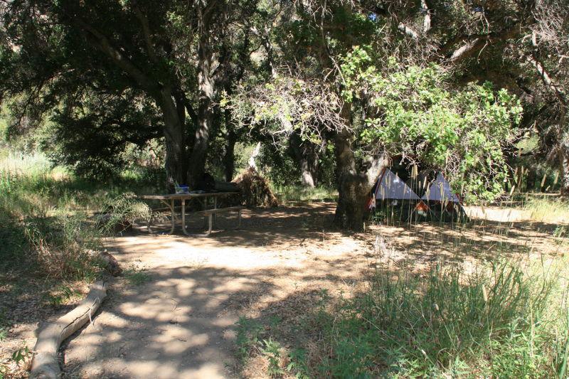 Campsite at Mono