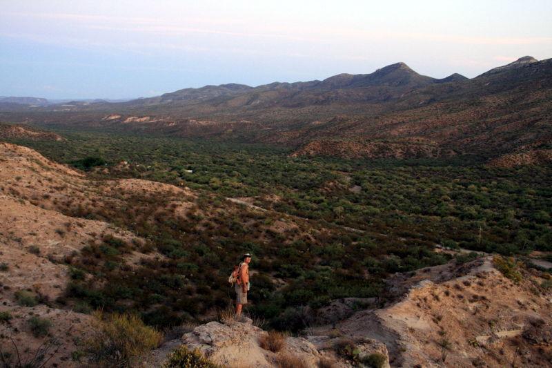 Pretty View from Coyote Peak