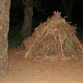 Freaky Teepee Thing