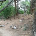 Ceremony Circle