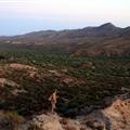 Pretty View from Coyote Peak