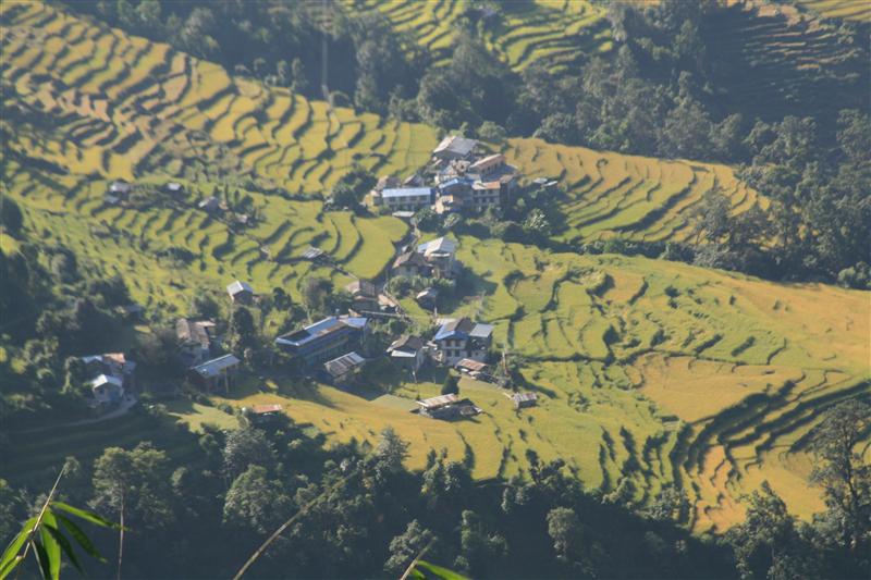 Terraces