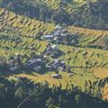 Terraces