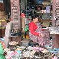 La Plaza Durbar / Durbar Square