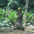 Lava tree, Lava Tree State Park, Puna