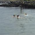 Abbie and Tam, Kapoho Tide Pools, Puna